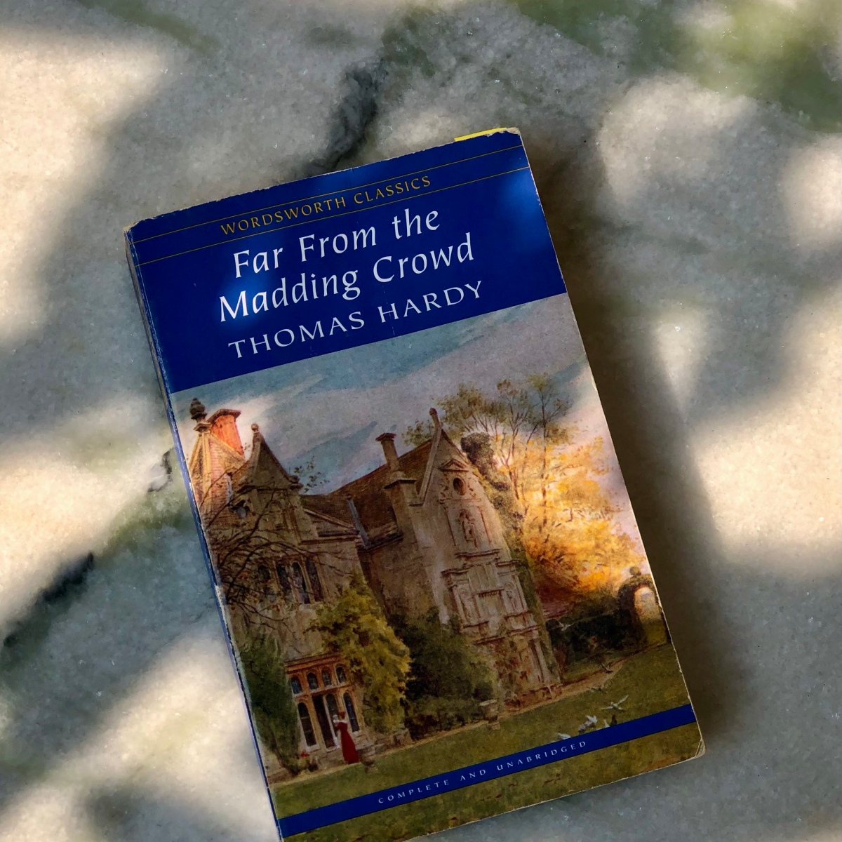 FAR FROM THE MADDING CROWD by Thomas Hardy