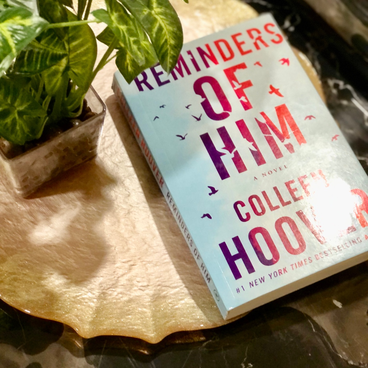 REMINDERS OF HIM by Colleen Hoover
